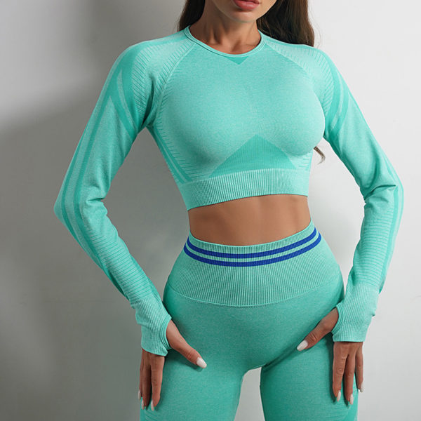 2pcs Seamless Yoga Pants Sports Gym Fitness Leggings And Long Sleeve Tops Outfits Butt Lifting Slim Workout Sportswear Clothing - Image 10