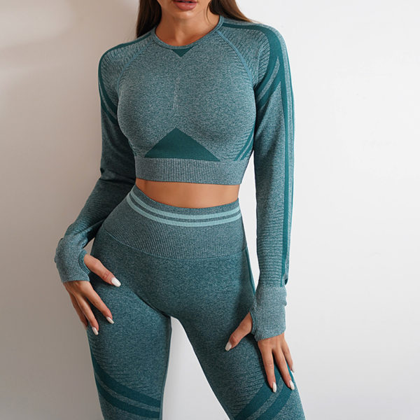 2pcs Seamless Yoga Pants Sports Gym Fitness Leggings And Long Sleeve Tops Outfits Butt Lifting Slim Workout Sportswear Clothing - Image 7