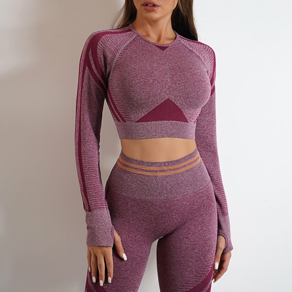 2pcs Seamless Yoga Pants Sports Gym Fitness Leggings And Long Sleeve Tops Outfits Butt Lifting Slim Workout Sportswear Clothing - Image 6